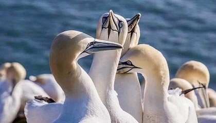 kaiyun：与云端同行的美好生活