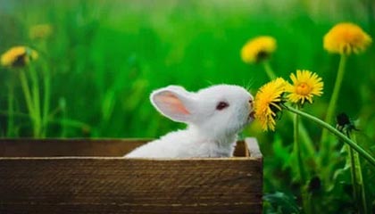 kaiyun：与云端同行的美好生活